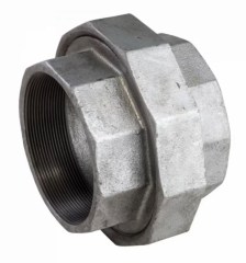 Horganyzott hollander 3
